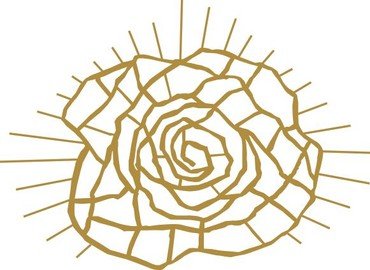 Tegning af strukturen af en rose